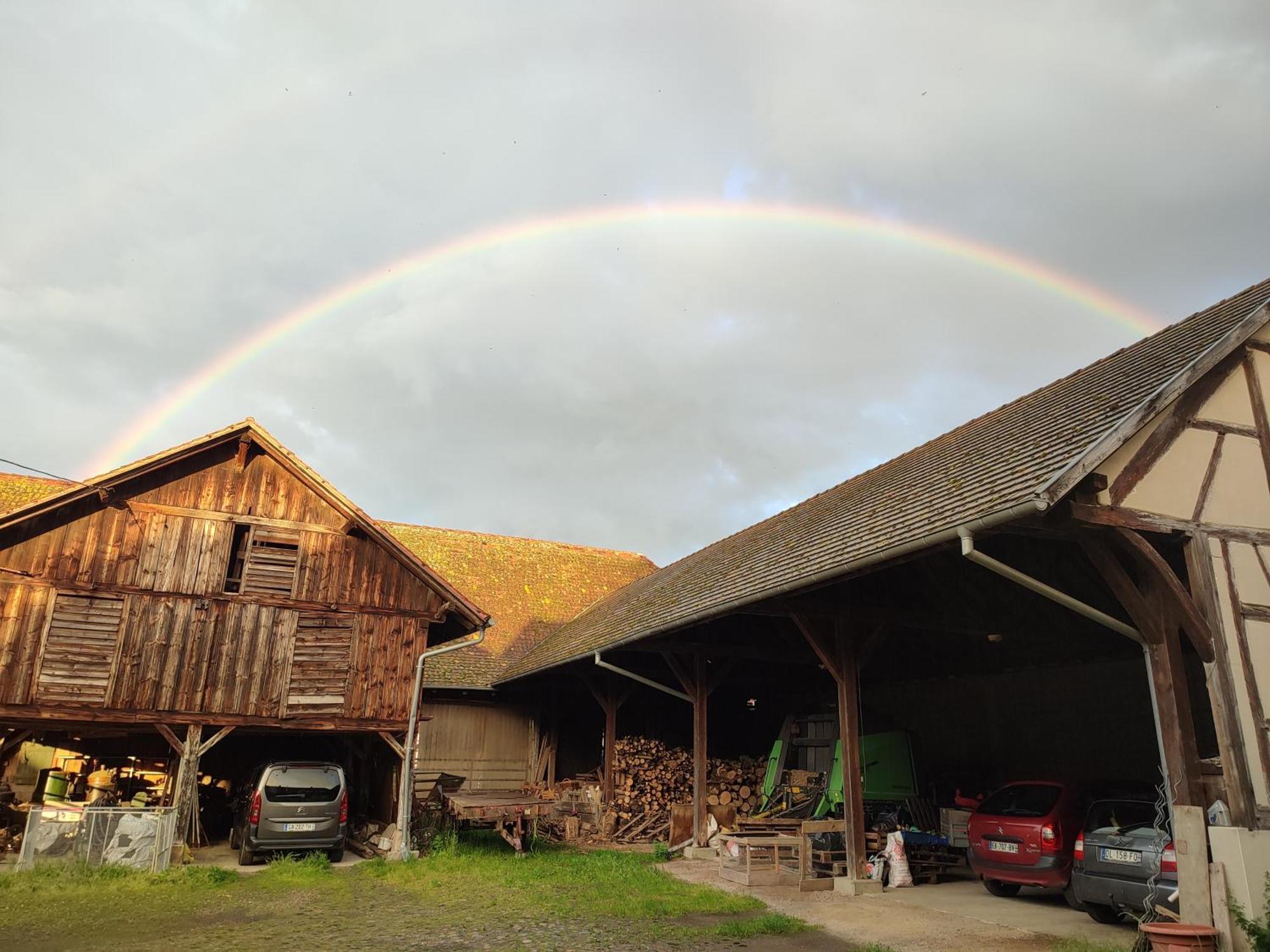 Chez Marguerite Gites A La Ferme Horbourg-Wihr Eksteriør bilde